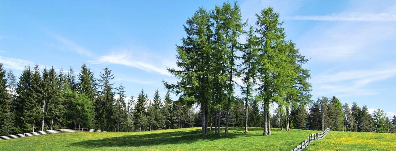 Camping Chalet Salten Сан Дженезио Атезино Екстериор снимка