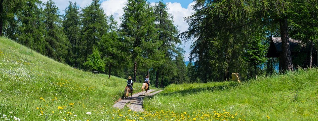 Camping Chalet Salten Сан Дженезио Атезино Екстериор снимка